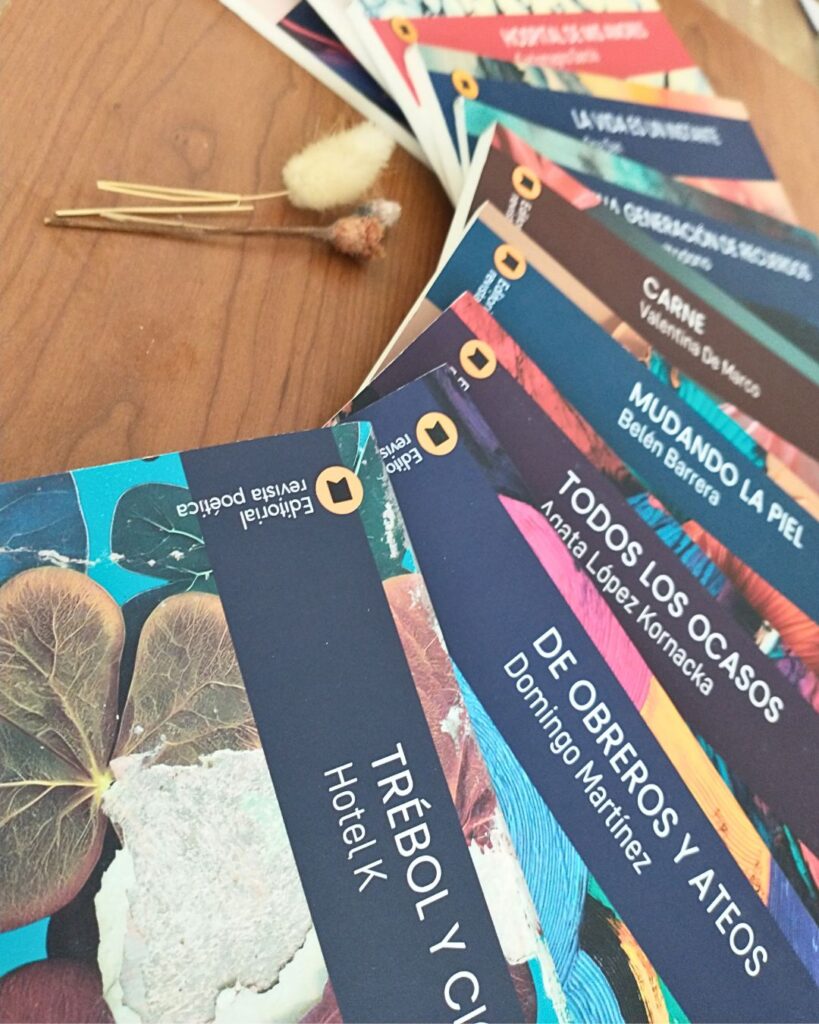 Editorial Revista Poética - Feria Letra Infinita Museo Nacional de Bellas Artes Argentina